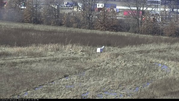 Cell 2 to 3_24-02-01_13-19-55-06