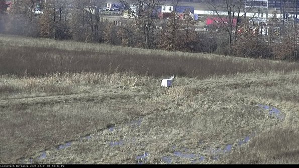 Cell 2 to 3_24-02-01_13-53-25-01