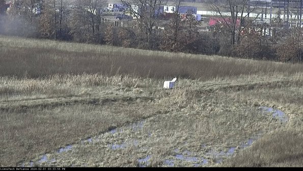 Cell 2 to 3_24-02-01_15-33-56-00