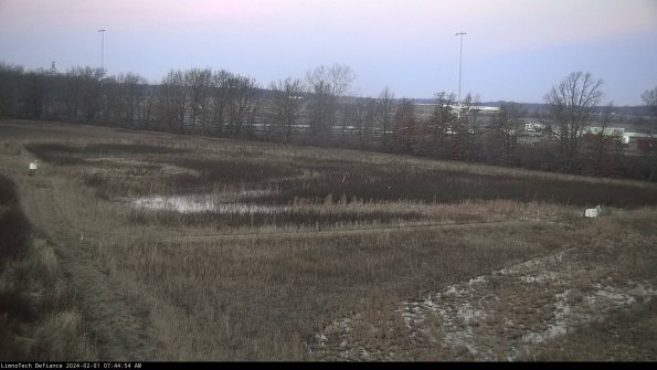 Cell 2_24-02-01_07-44-54-99