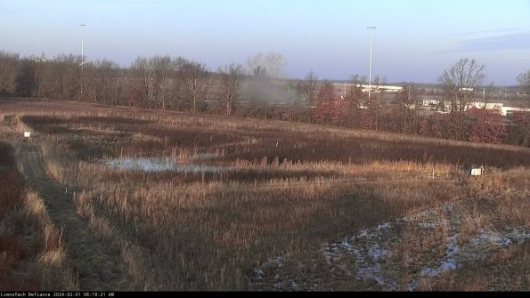 Cell 2_24-02-01_08-18-22-07