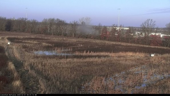 Cell 2_24-02-01_08-31-12-98