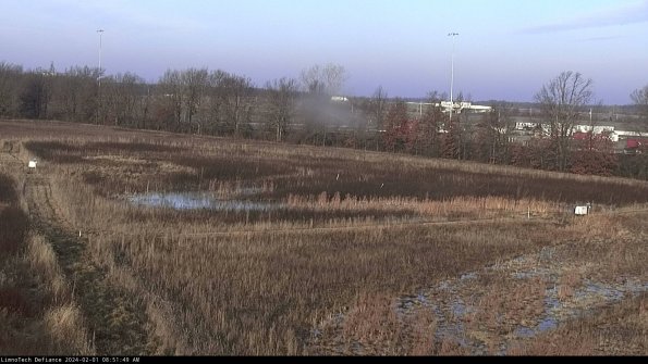 Cell 2_24-02-01_08-51-49-95