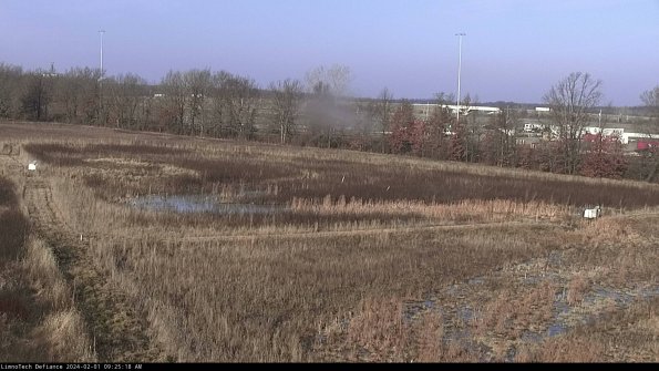 Cell 2_24-02-01_09-25-19-00