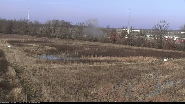 Cell 2_24-02-01_09-58-48-95