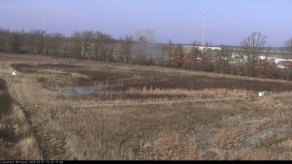 Cell 2_24-02-01_10-32-17-93