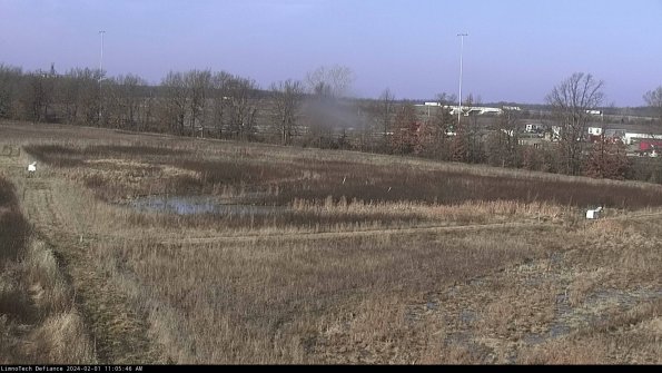 Cell 2_24-02-01_11-05-46-94