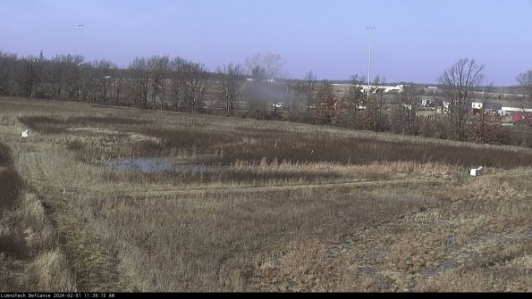 Cell 2_24-02-01_11-39-15-96