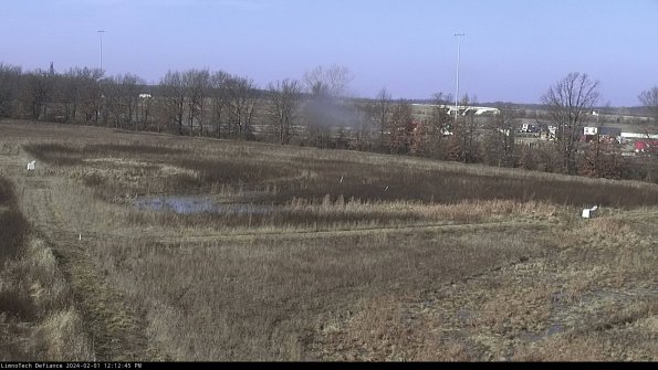 Cell 2_24-02-01_12-12-45-95