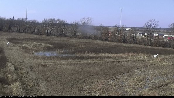 Cell 2_24-02-01_13-53-11-93