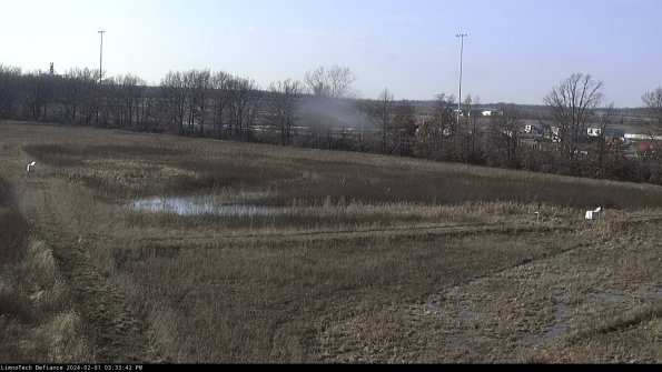 Cell 2_24-02-01_15-33-42-92