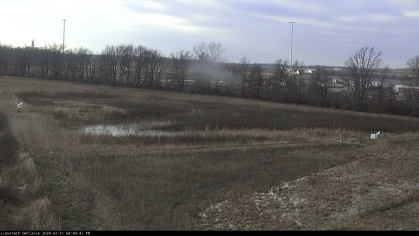 Cell 2_24-02-01_16-40-41-96