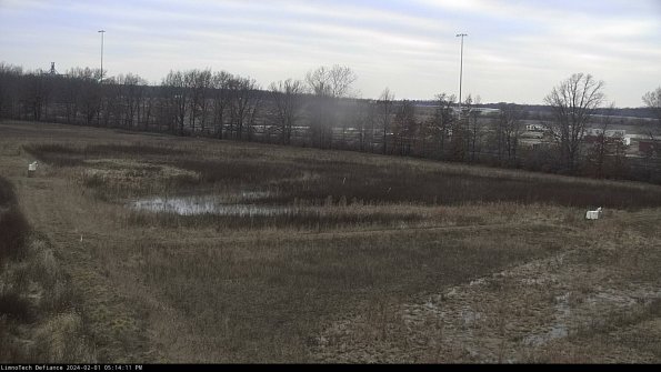 Cell 2_24-02-01_17-14-11-98