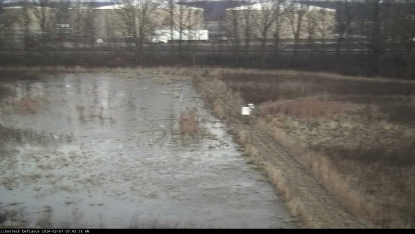 Cell 3 to 4_24-02-01_07-45-36-94