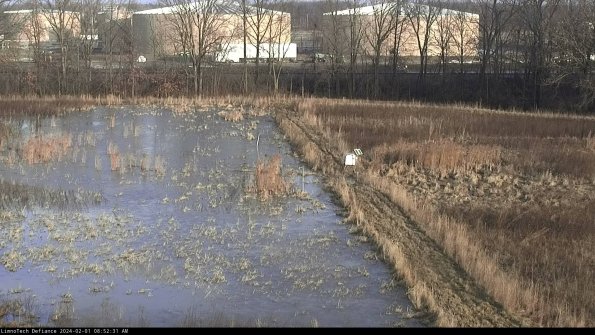 Cell 3 to 4_24-02-01_08-52-31-93