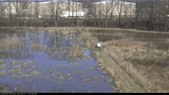 Cell 3 to 4_24-02-01_11-06-28-92