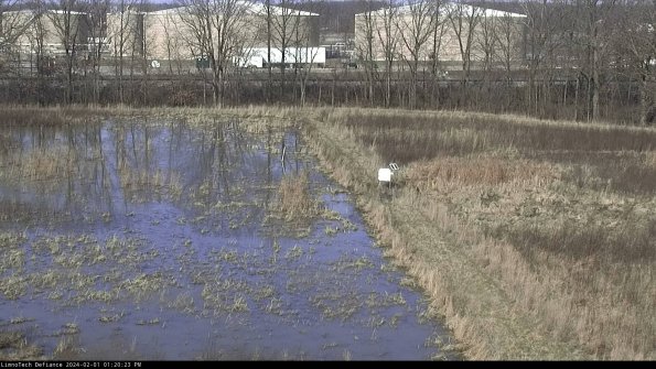 Cell 3 to 4_24-02-01_13-20-23-92