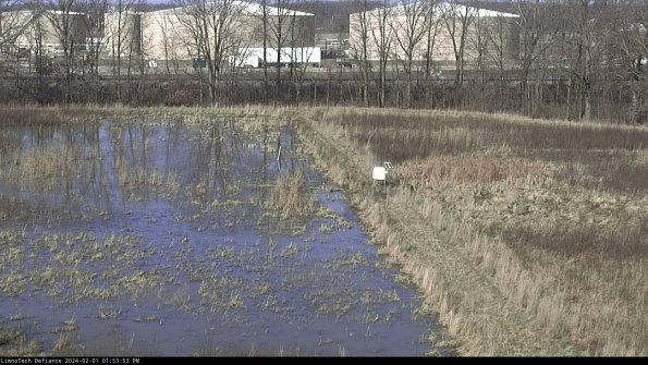 Cell 3 to 4_24-02-01_13-53-53-91