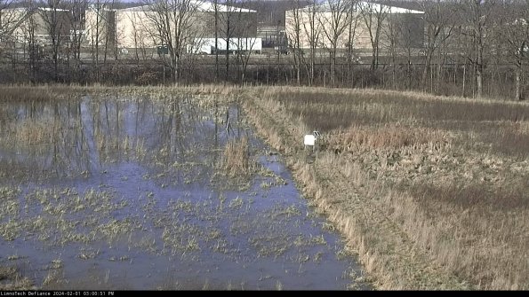 Cell 3 to 4_24-02-01_15-00-51-94