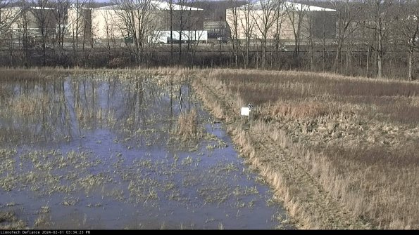 Cell 3 to 4_24-02-01_15-34-23-93