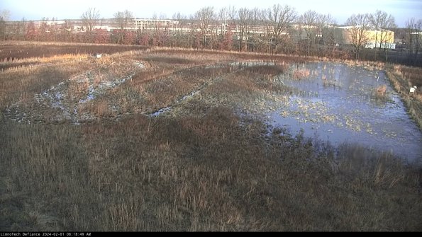 Cell 3_24-02-01_08-18-49-97