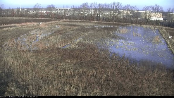 Cell 3_24-02-01_08-52-17-95