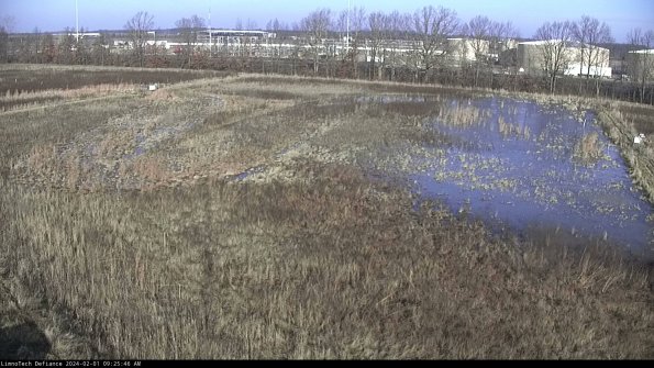 Cell 3_24-02-01_09-25-46-93