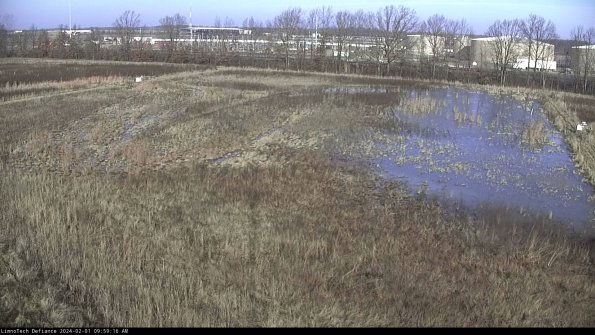 Cell 3_24-02-01_09-59-16-94