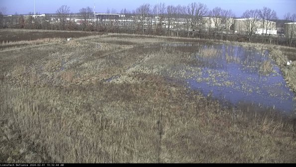 Cell 3_24-02-01_10-32-45-16