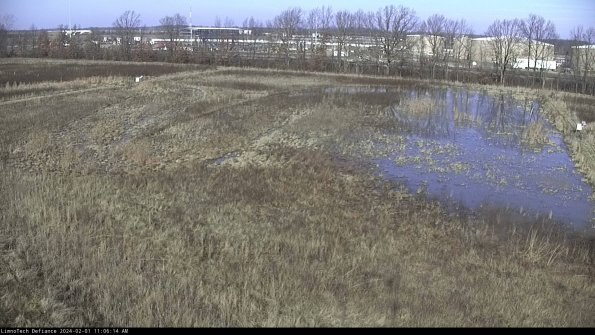 Cell 3_24-02-01_11-06-14-91