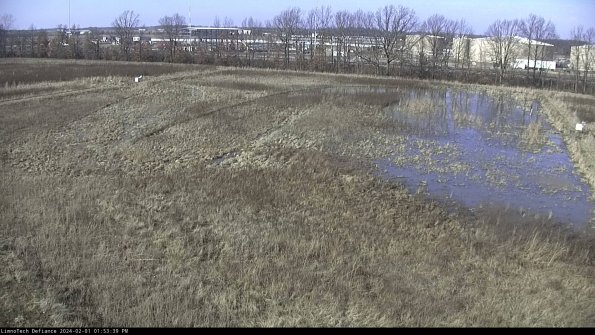 Cell 3_24-02-01_13-53-39-93