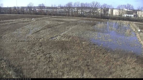 Cell 3_24-02-01_15-34-10-12