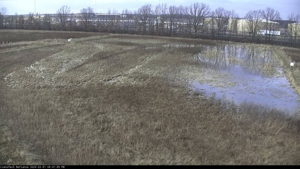 Cell 3_24-02-01_16-41-09-93