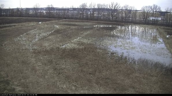 Cell 3_24-02-01_17-14-39-94