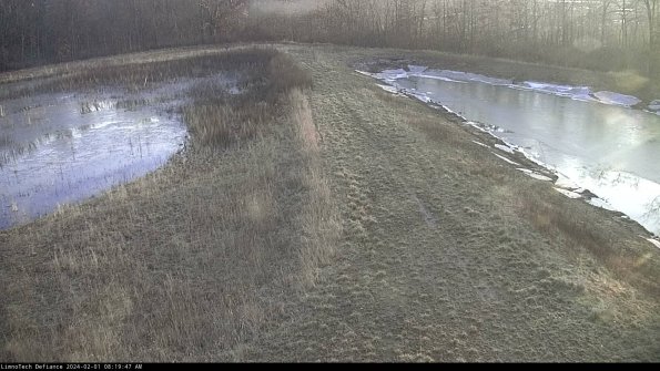 Cell 4 to Basin_24-02-01_08-19-47-96