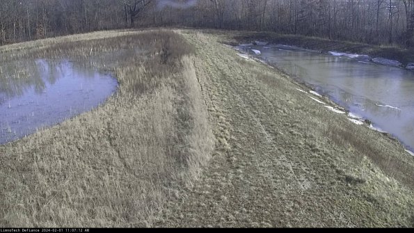 Cell 4 to Basin_24-02-01_11-07-12-93