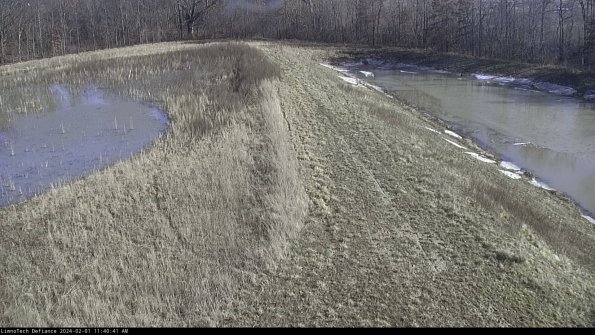 Cell 4 to Basin_24-02-01_11-40-41-92