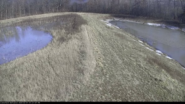 Cell 4 to Basin_24-02-01_13-21-07-94