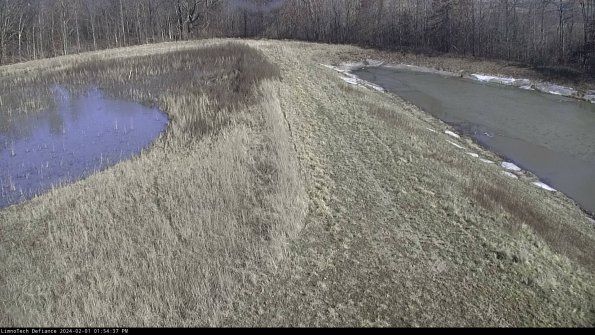 Cell 4 to Basin_24-02-01_13-54-37-95