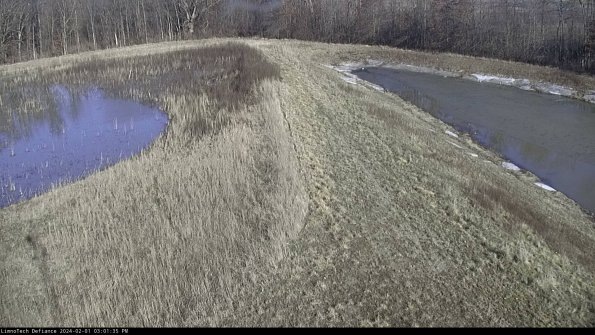 Cell 4 to Basin_24-02-01_15-01-35-96