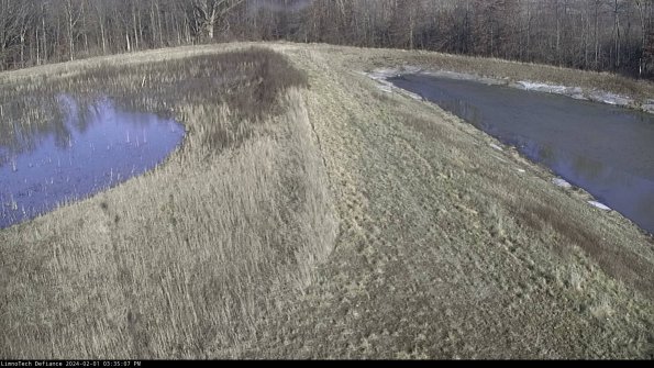 Cell 4 to Basin_24-02-01_15-35-07-91