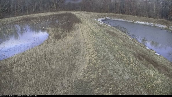 Cell 4 to Basin_24-02-01_16-42-07-92