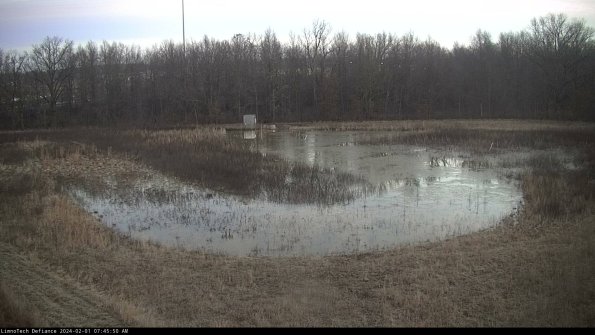 Cell 4_24-02-01_07-45-50-92