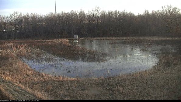 Cell 4_24-02-01_08-19-17-96