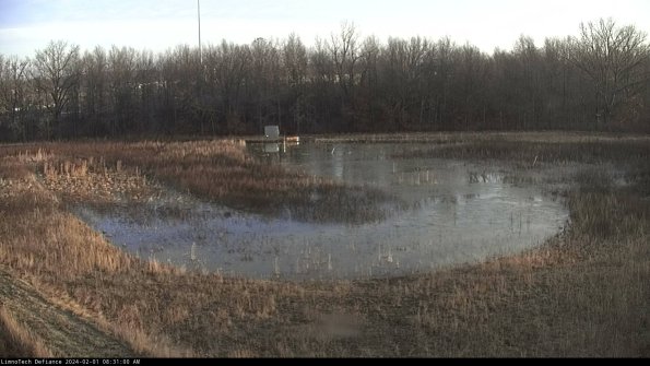 Cell 4_24-02-01_08-31-00-96