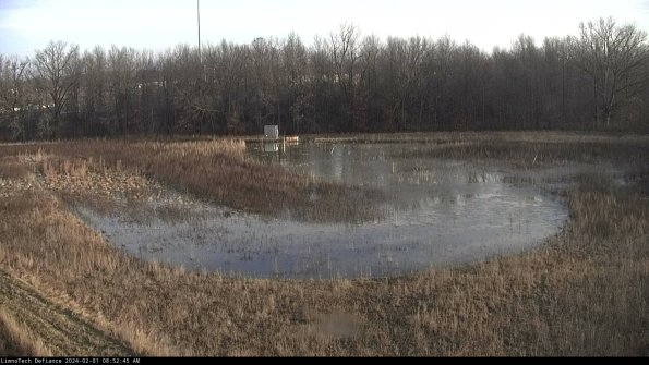 Cell 4_24-02-01_08-52-45-94