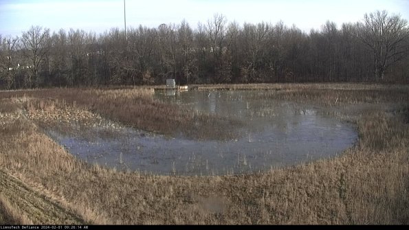 Cell 4_24-02-01_09-26-14-92