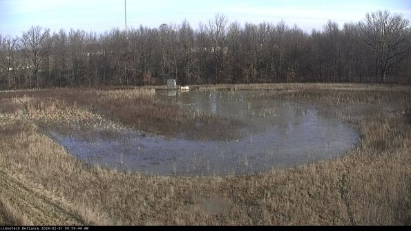 Cell 4_24-02-01_09-59-44-91