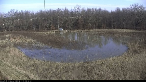 Cell 4_24-02-01_11-06-42-90