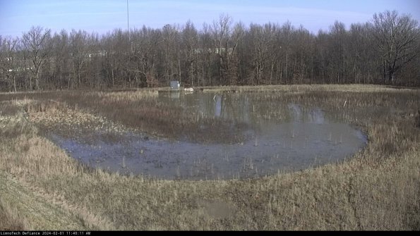 Cell 4_24-02-01_11-40-11-92